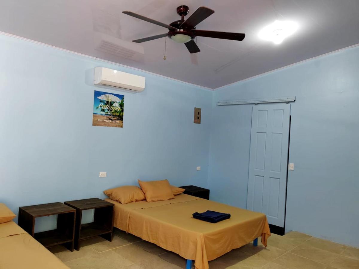 יקו Hotel Catappa מראה חיצוני תמונה