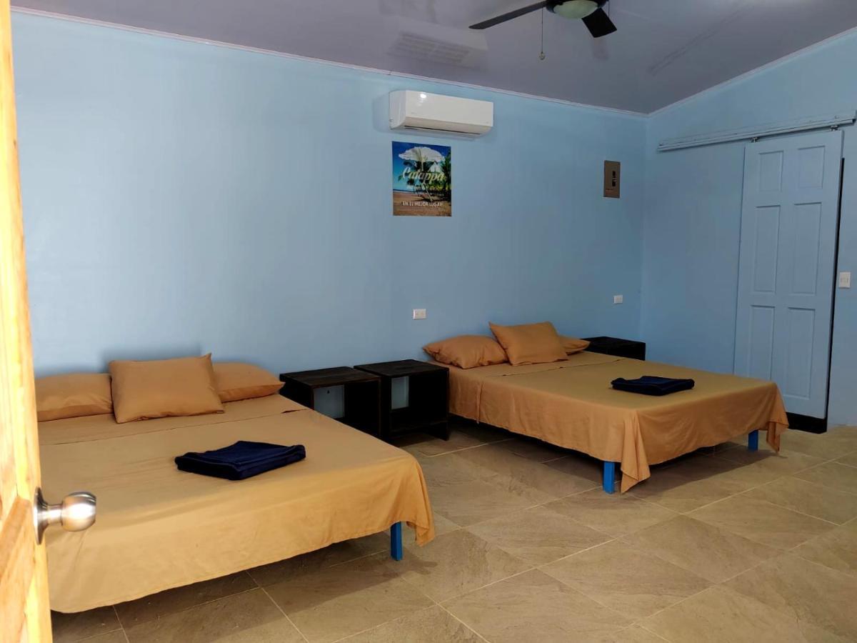 יקו Hotel Catappa מראה חיצוני תמונה
